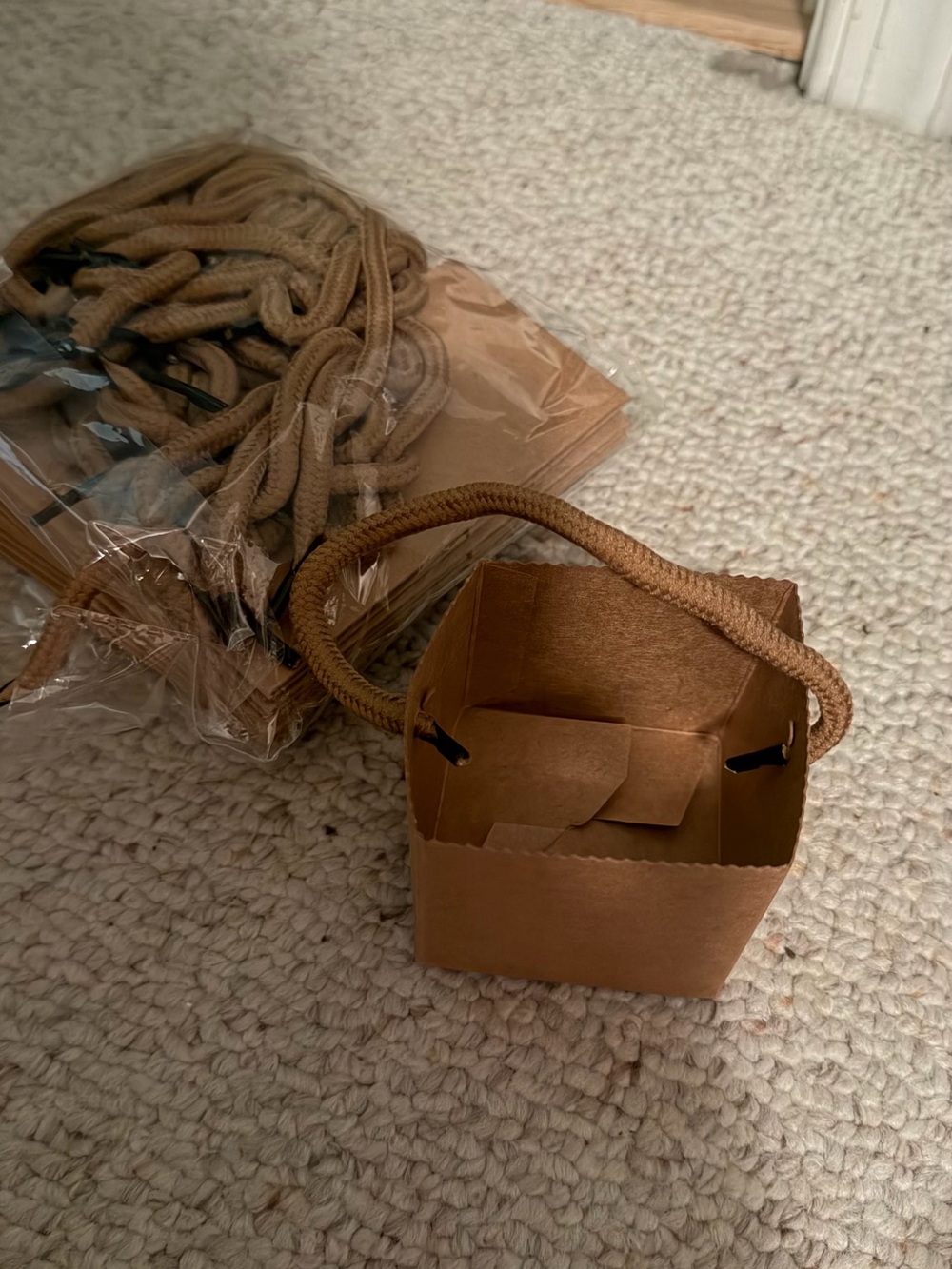 Small Brown Kraft Gift Bags with Rope Handle for plants or mini gifts